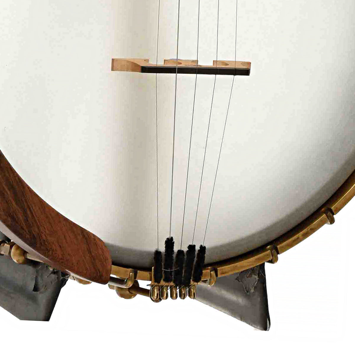 Bridge of Starr 11 in. Curly Maple Openback