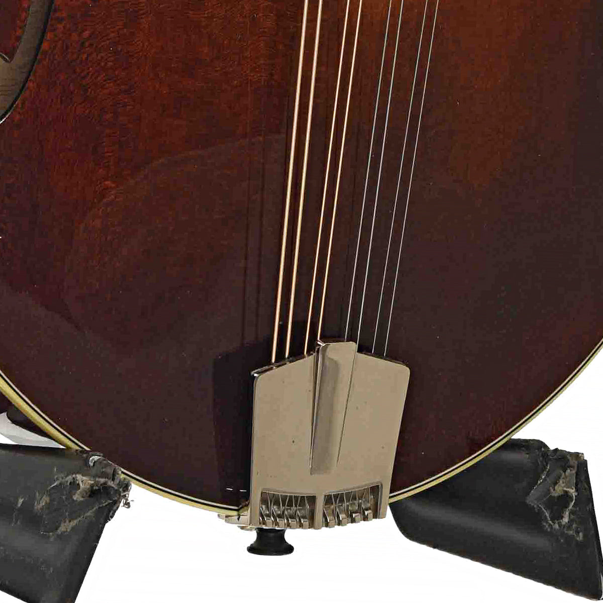 Tailpiece of Eastman MD-515
