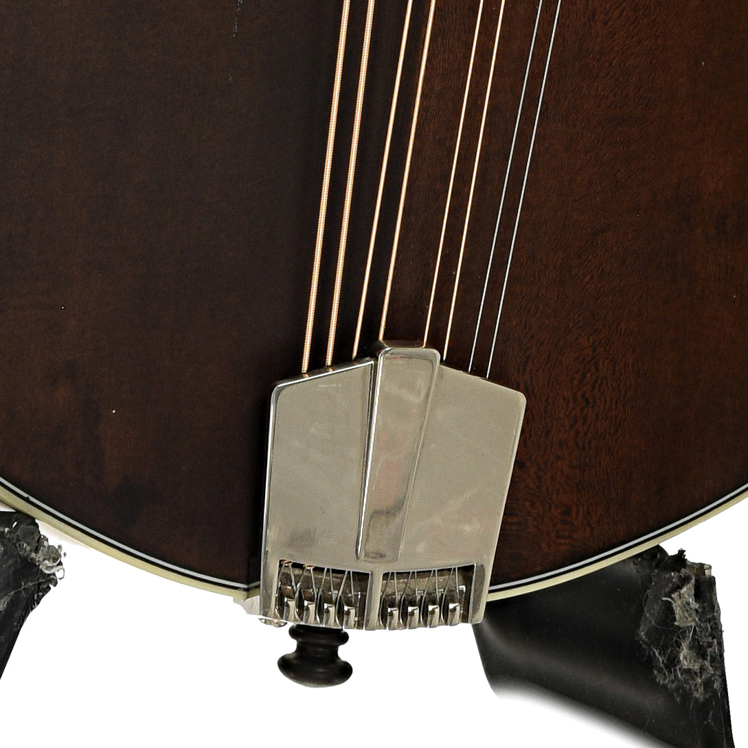 Tailpiece of Eastman MDA315 Mandola