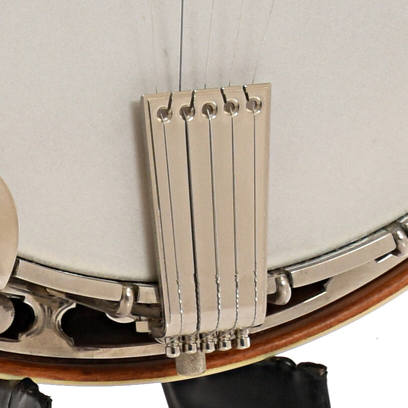 Tailpiece of Wildwood Heirloom Resonator Banjo
