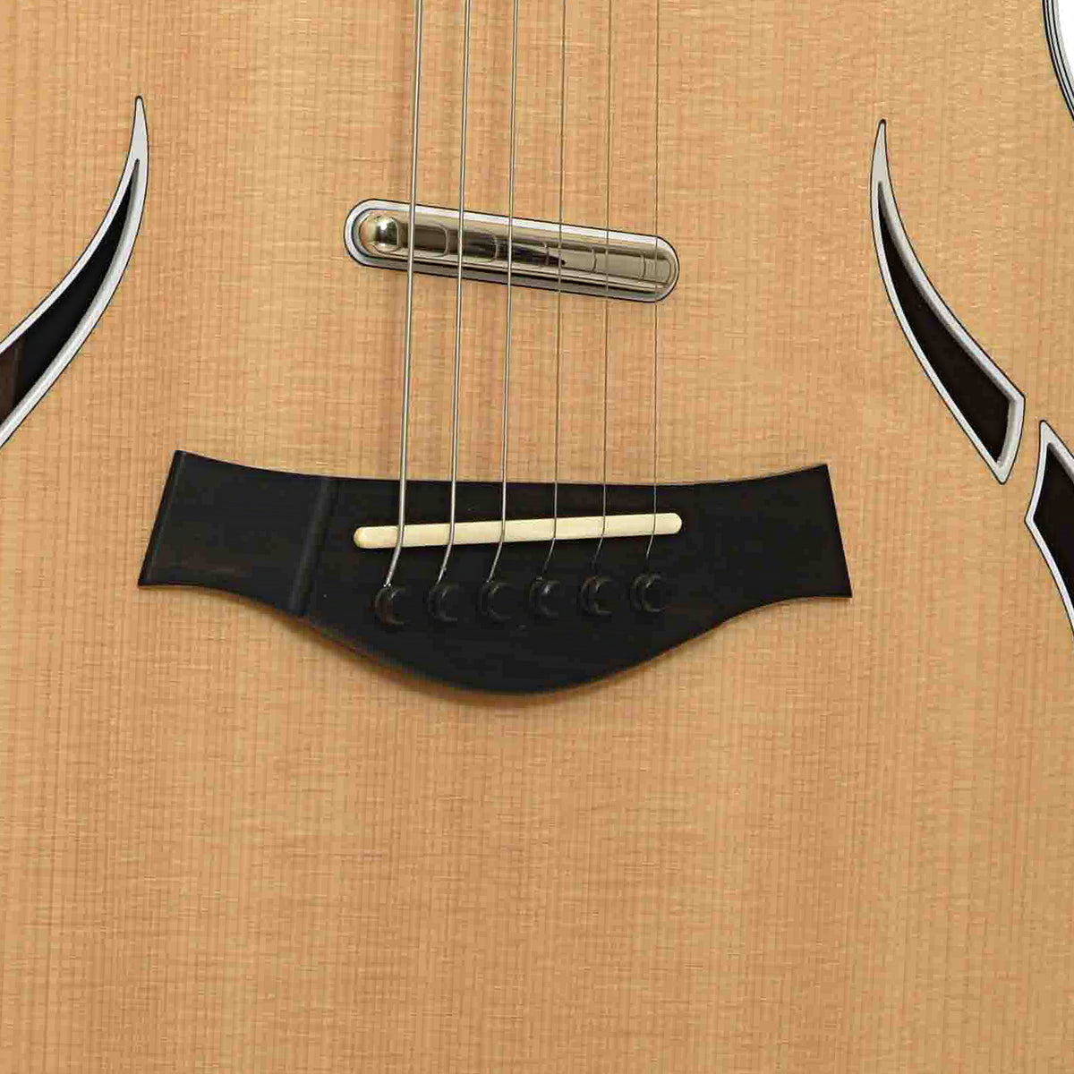 Bridge of Taylor T-5 Standard