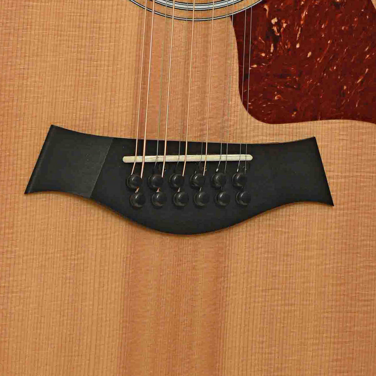 Bridge of Taylor 456CE