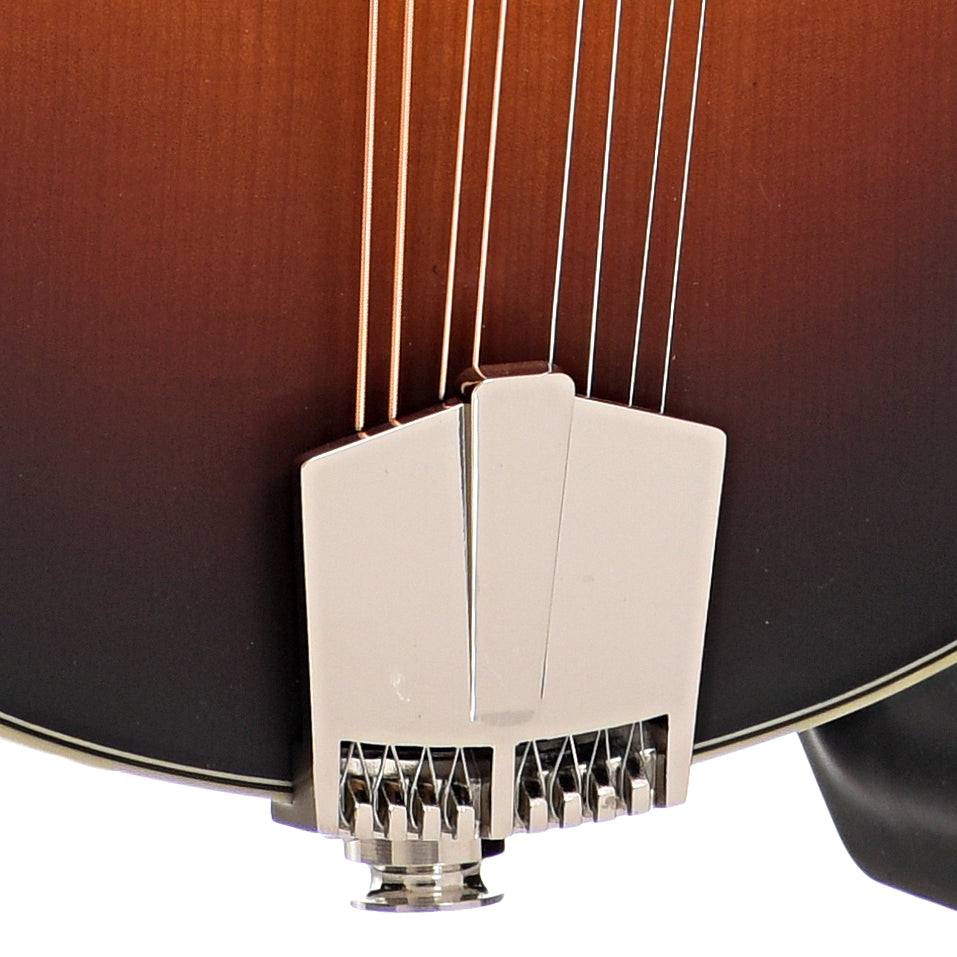 Tailpiece of Eastman MD305E-SB Mandolin, Sunburst