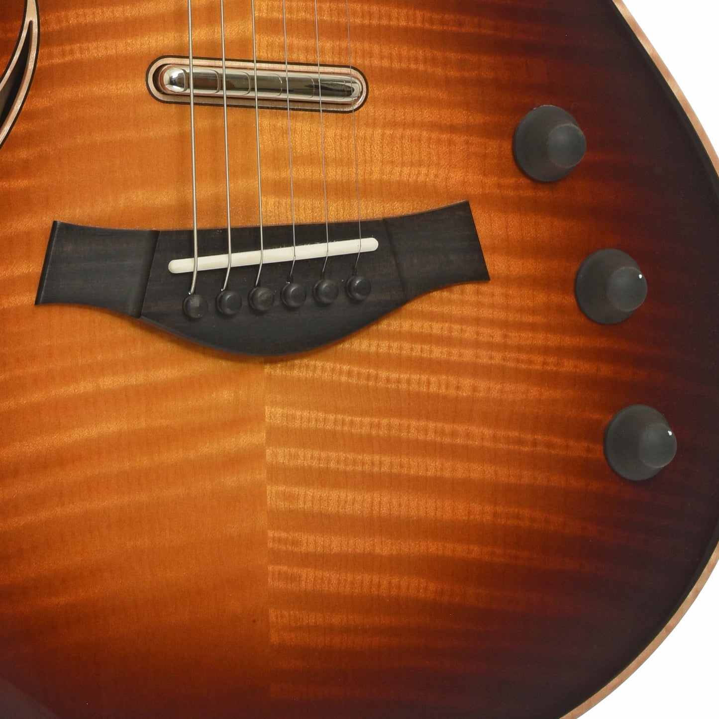 Bridge and controls of Taylor T5Z Pro Hollowbody Electric Guitar
