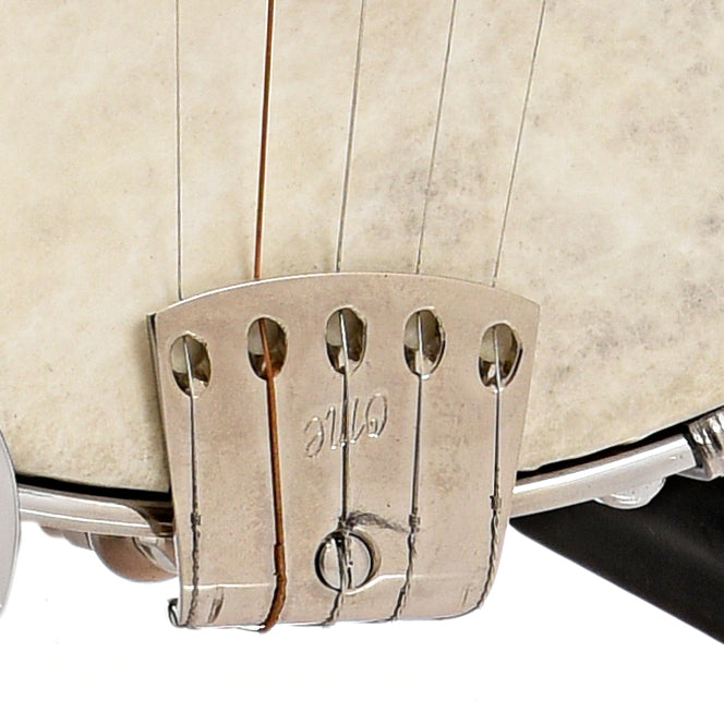 Tailpiece of Gold Tone TB100 Travel Banjo (2000)