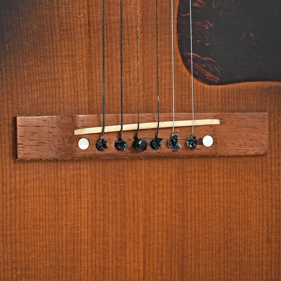 Bridge of Gibson LG-1 Acoustic Guitar (1953)