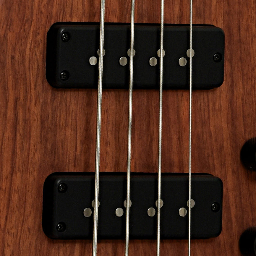 Pickups of ESP LTD B-1004SE 4-String Electric Bass