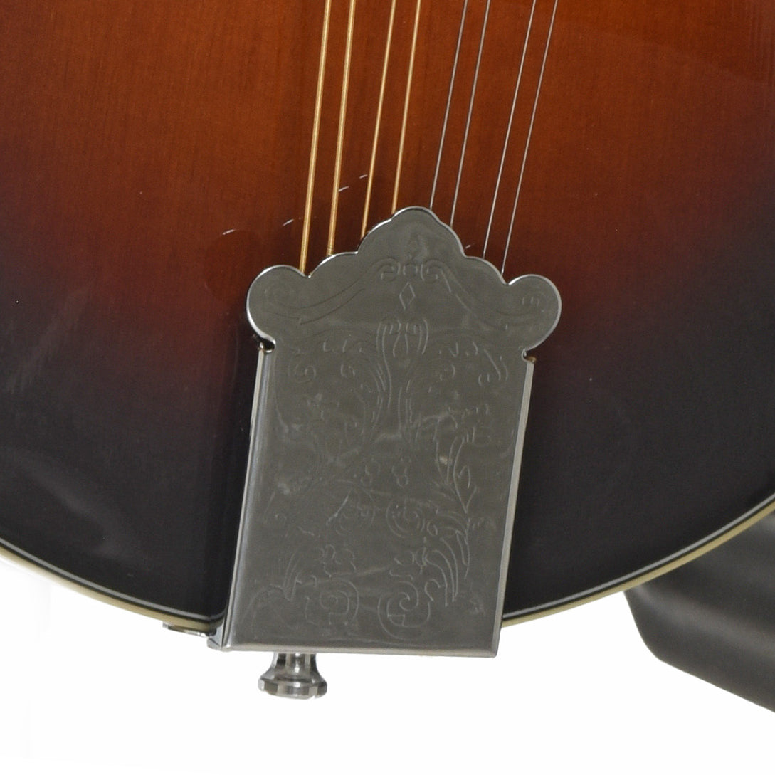 Gold Tone GM-35 F-Style Mandolin & Case