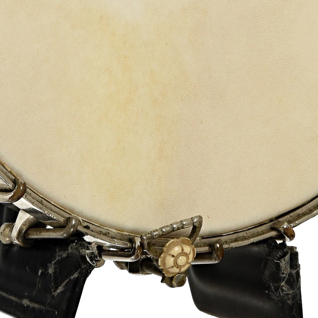 Tailpiece of S.S. Stewart Lady Stewart No.2 Openback Banjo