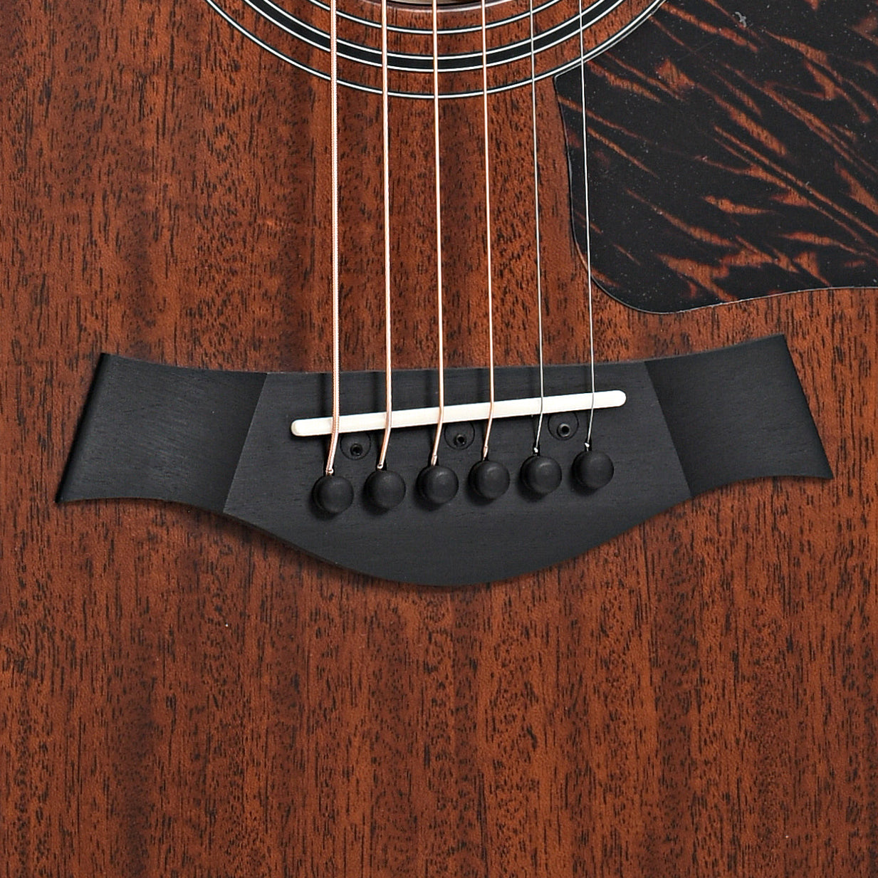 Bridge of Taylor 326ce Acoustic-Electric Guitar