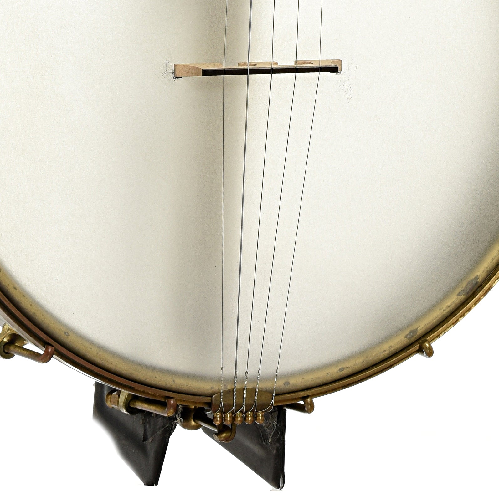 Bridge of Dogwood 12" Open Back Banjo
