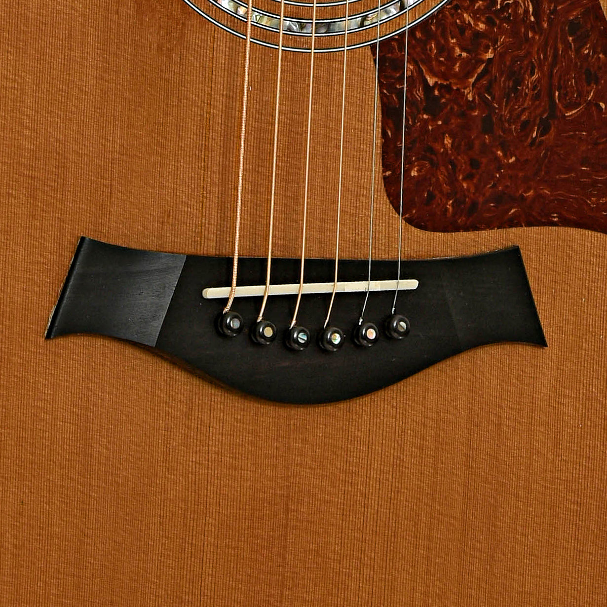 Bridge of Taylor 514-C Acoustic Guitar