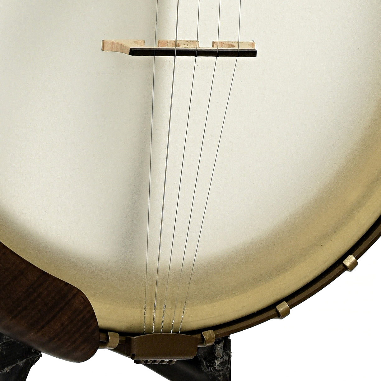 Bridge and controls of Vega Vintage Star 12" Open Back Banjo