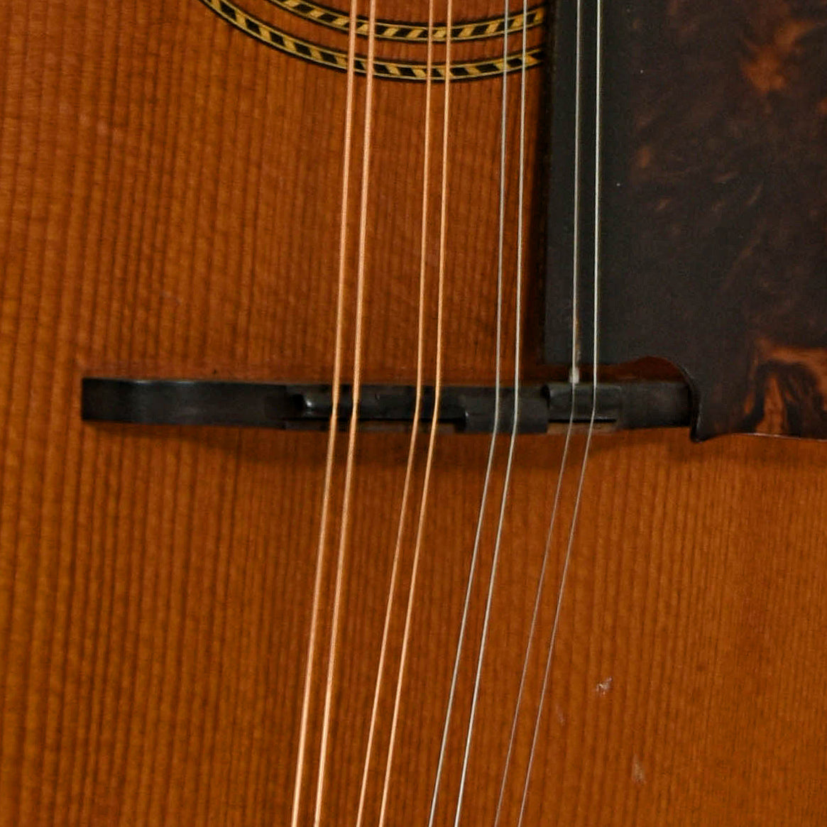 Bridge of Gibson A-1 Mandolin