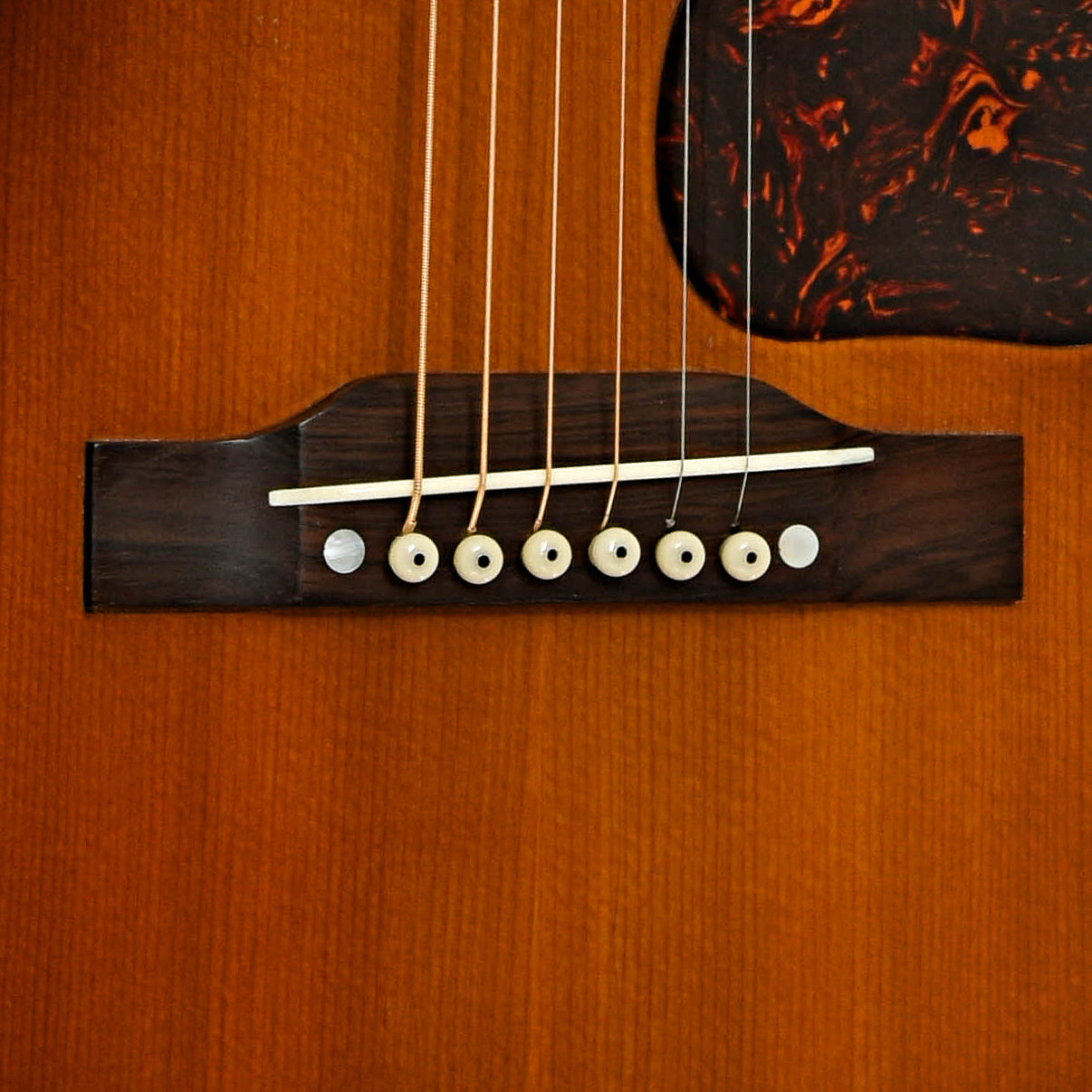 Bridge of Gibson CF-100 Acoustic Guitar