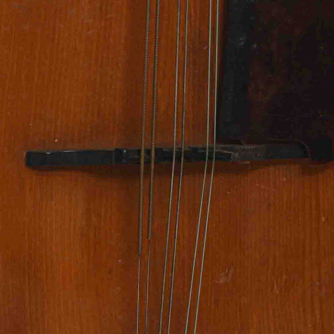 Bridge of K-1 Mandocello