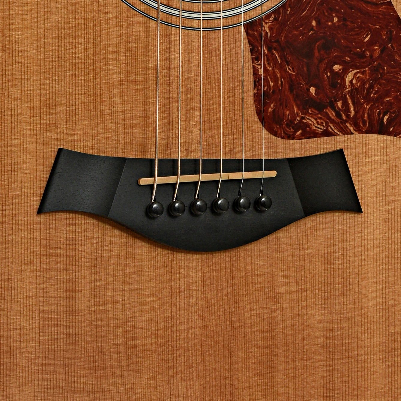 Bridge of Taylor 314CE Acoustic-Electric Guitar 