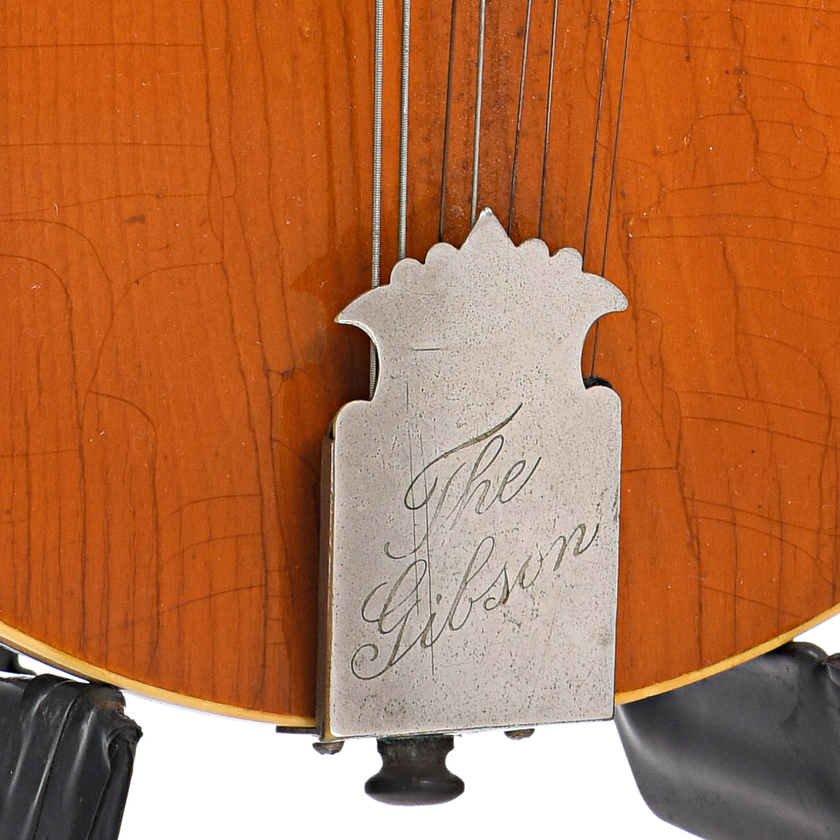 Tailpiece of Gibson A Mandolin (1908)