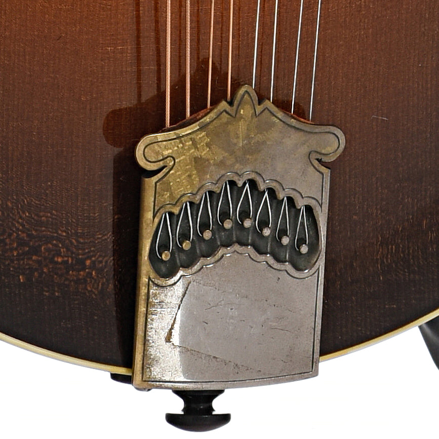 Tailpiece of Collings MF5-V F-Style Mandolin (2006)