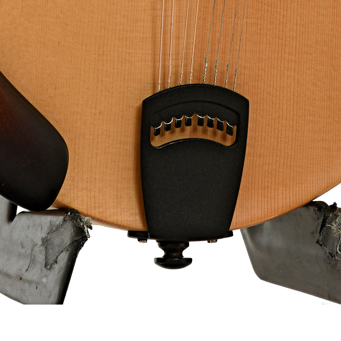 Tailpiece of Breedlove Quartz OF Mandolin 