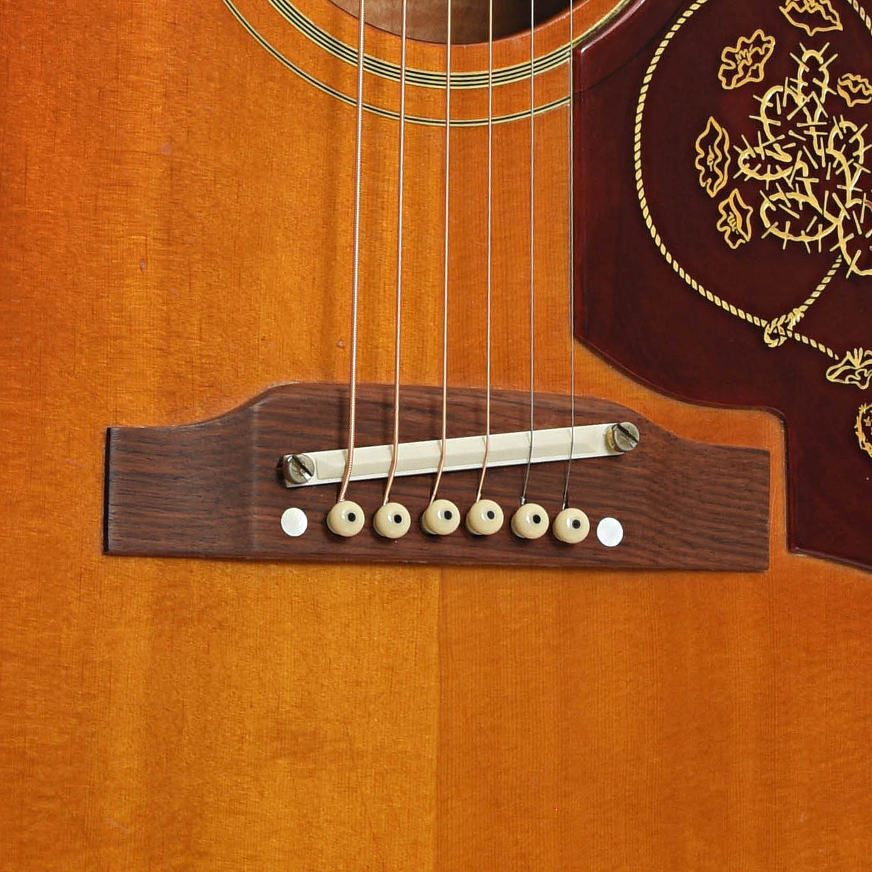 Bridge of Epiphone FT110 Frontier Acoustic Guitar 