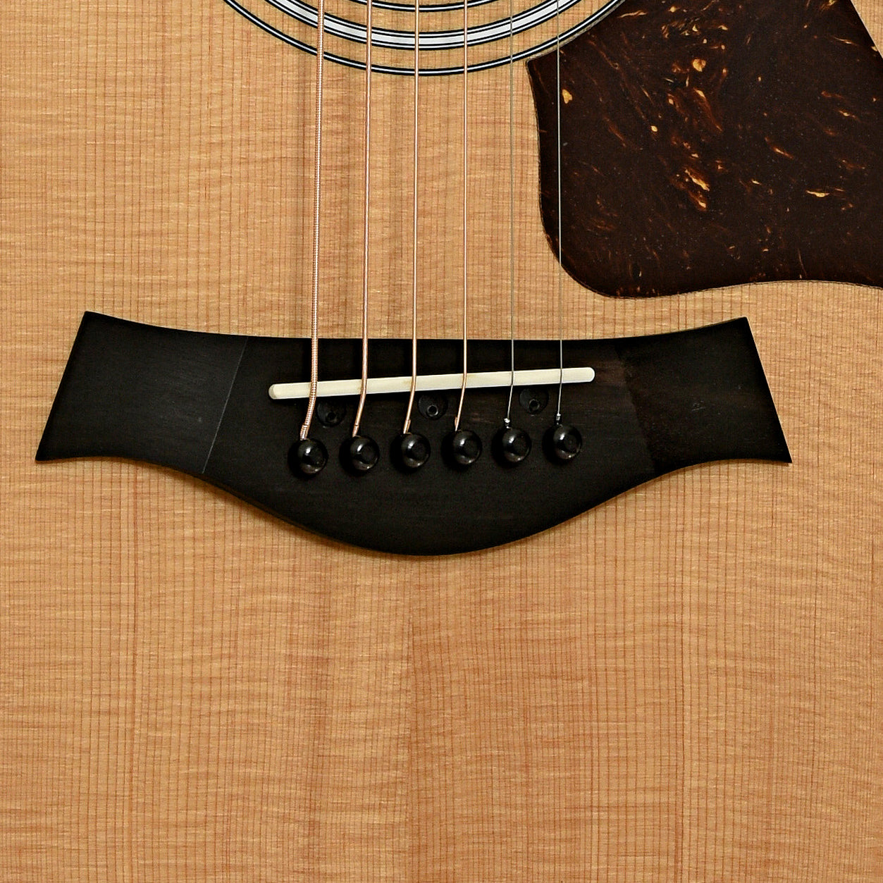 Bridge  of Taylor 212ce Acoustic-Electric Guitar
