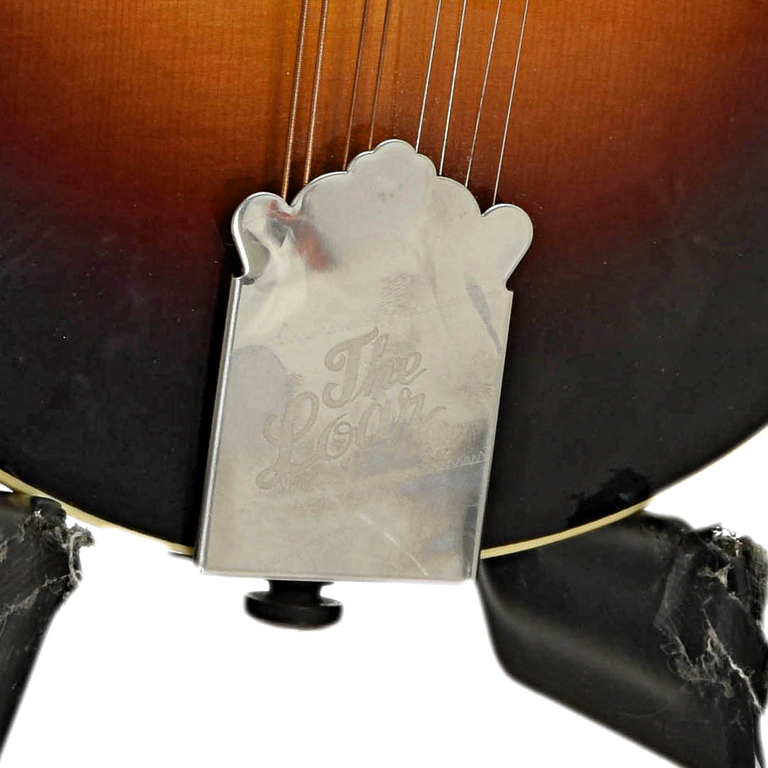 Loar LM-520-VS Performer F-Style Mandolin (2017) – Elderly Instruments