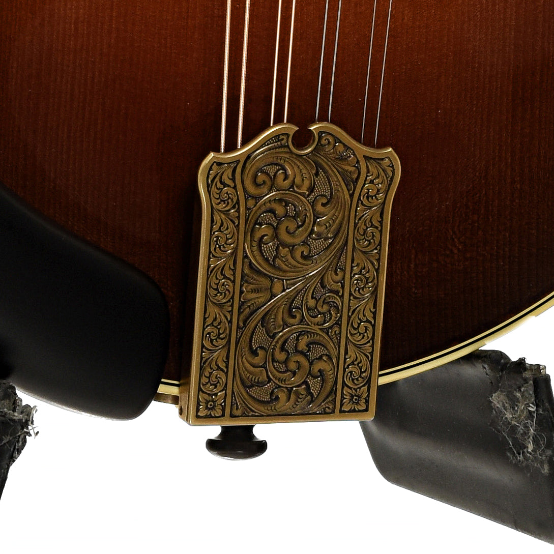 Tailpiece of Ellis F-5 Special