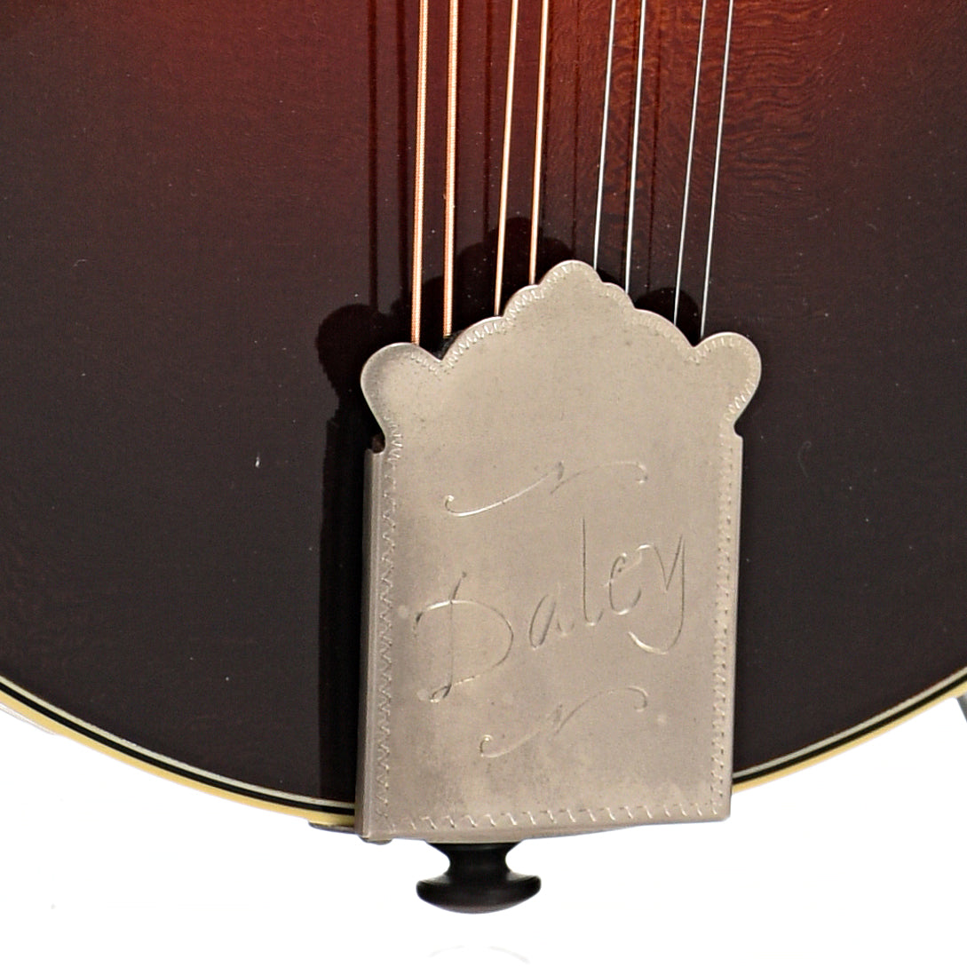 Tailpiece of Daley Classic A Mandolin
