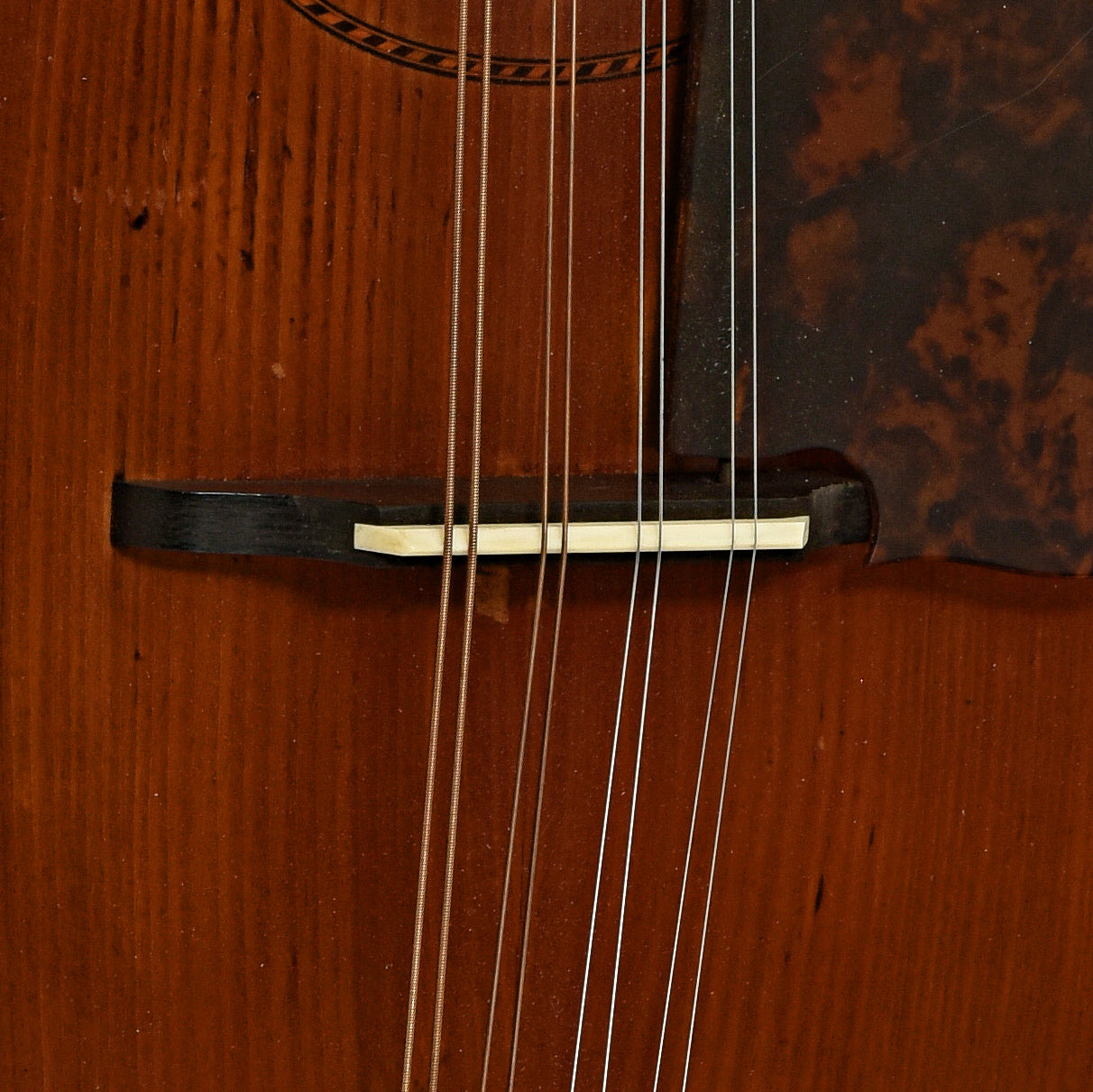 Bridge of Gibson A Mandolin