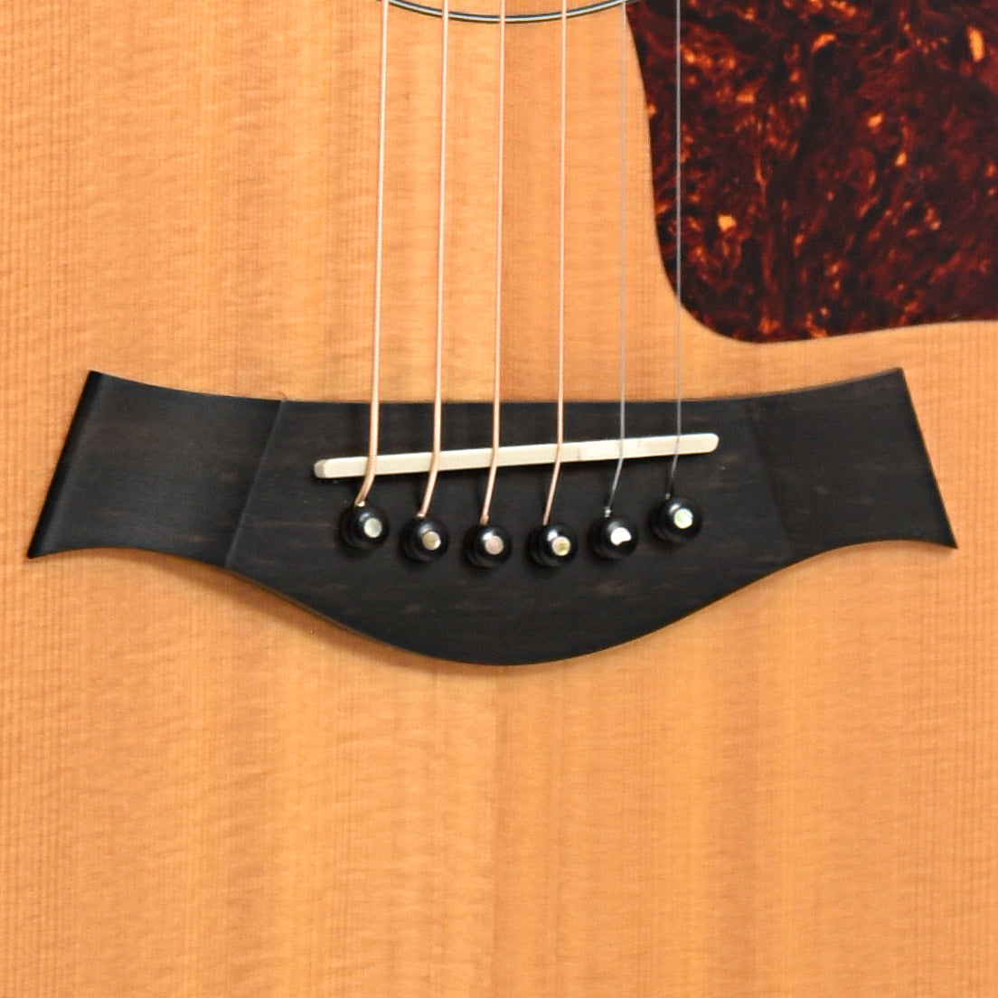 Bridge of Taylor  810 Acoustic Guitar 