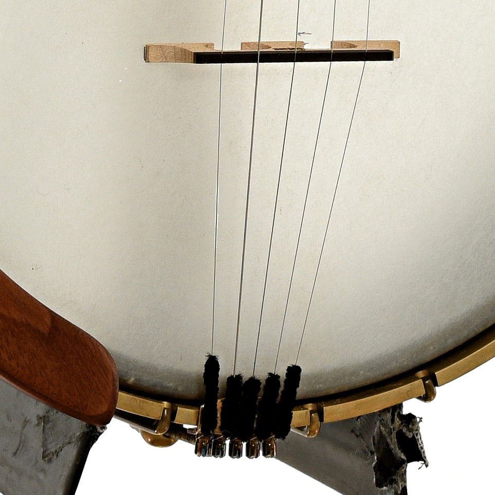 Bridge of Starr Limited Edition Banjos 11" Curly Maple Open-back Banjo