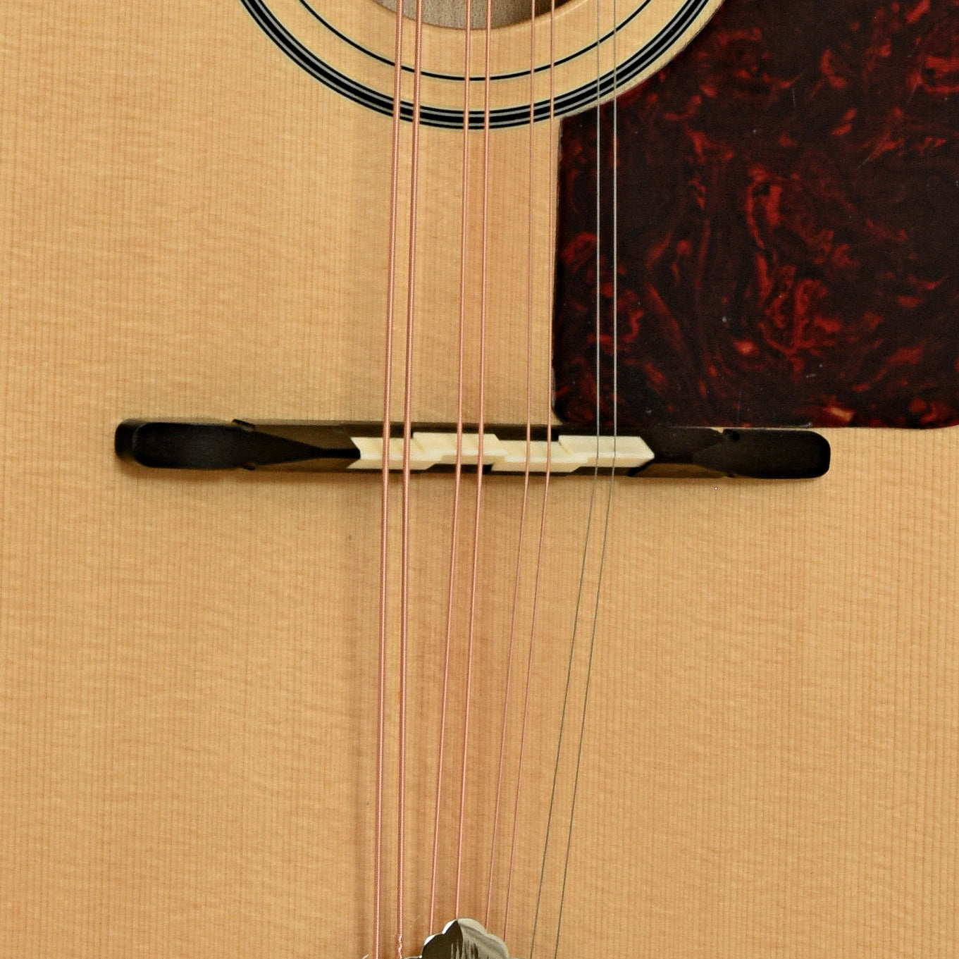 Bridge of Trinity College Octave Mandolin