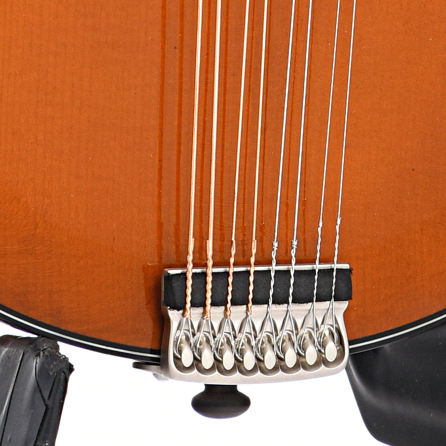 Tailpiece of Northfield Workshop NFMSP-A4 A4 Special Mandolin