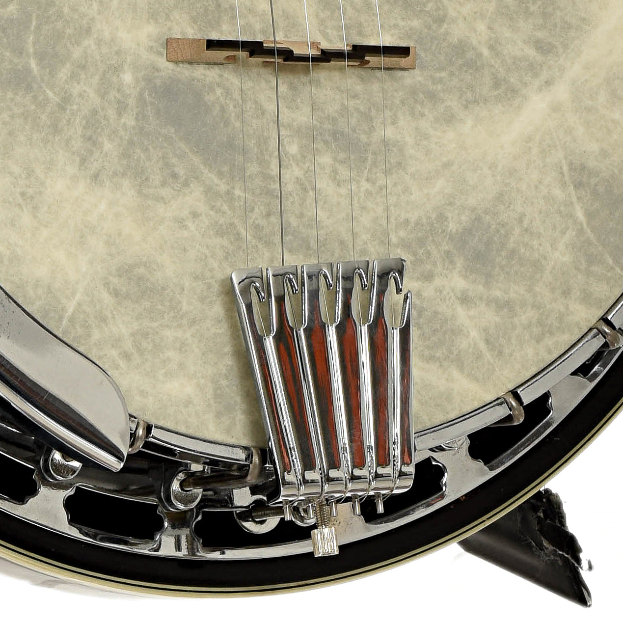 Bridge of Gold Tone BG-250F Orange Blossom Resonator Banjo