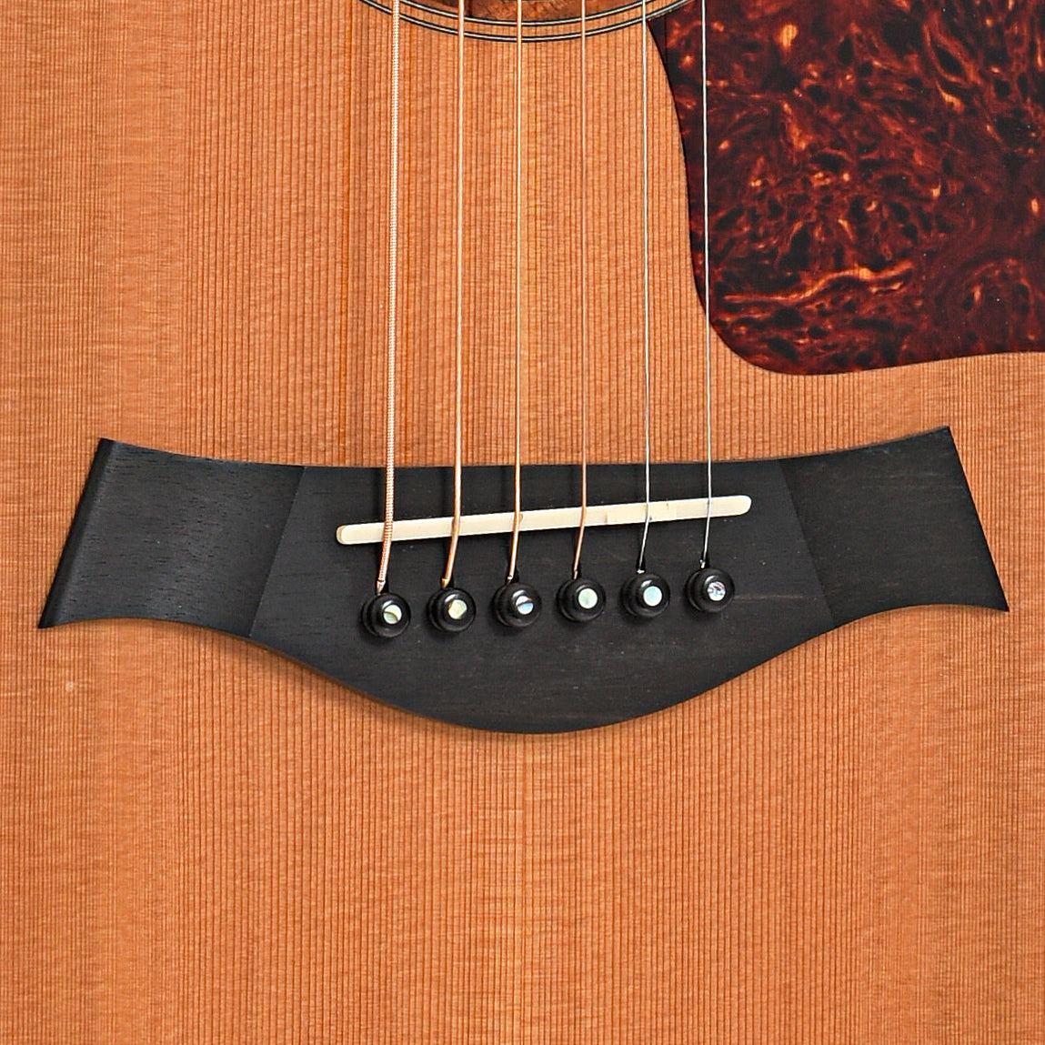 Bridge of Taylor 514-CE Acoustic Guitar (2001)