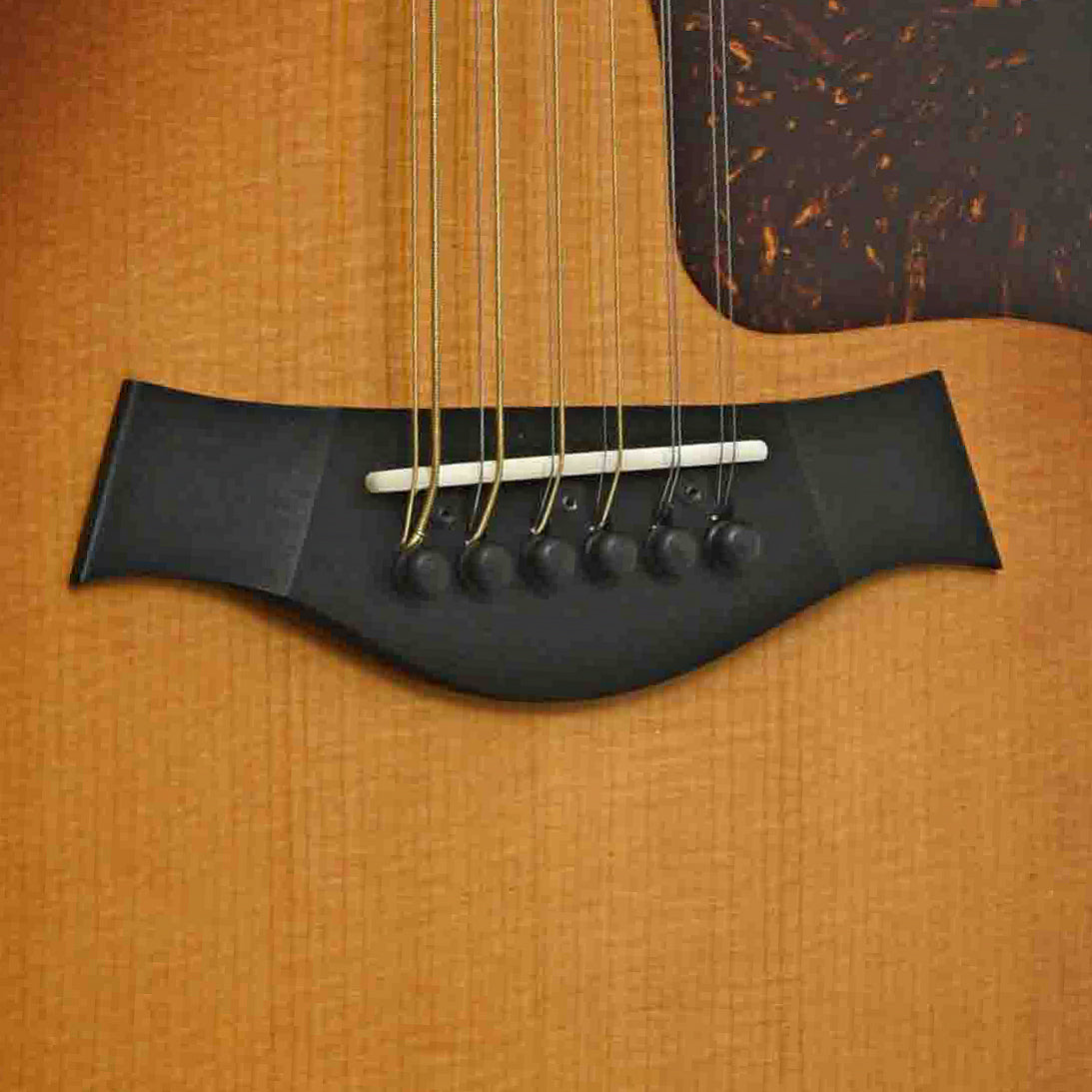 Bridge of Taylor 454CE-R 12-String