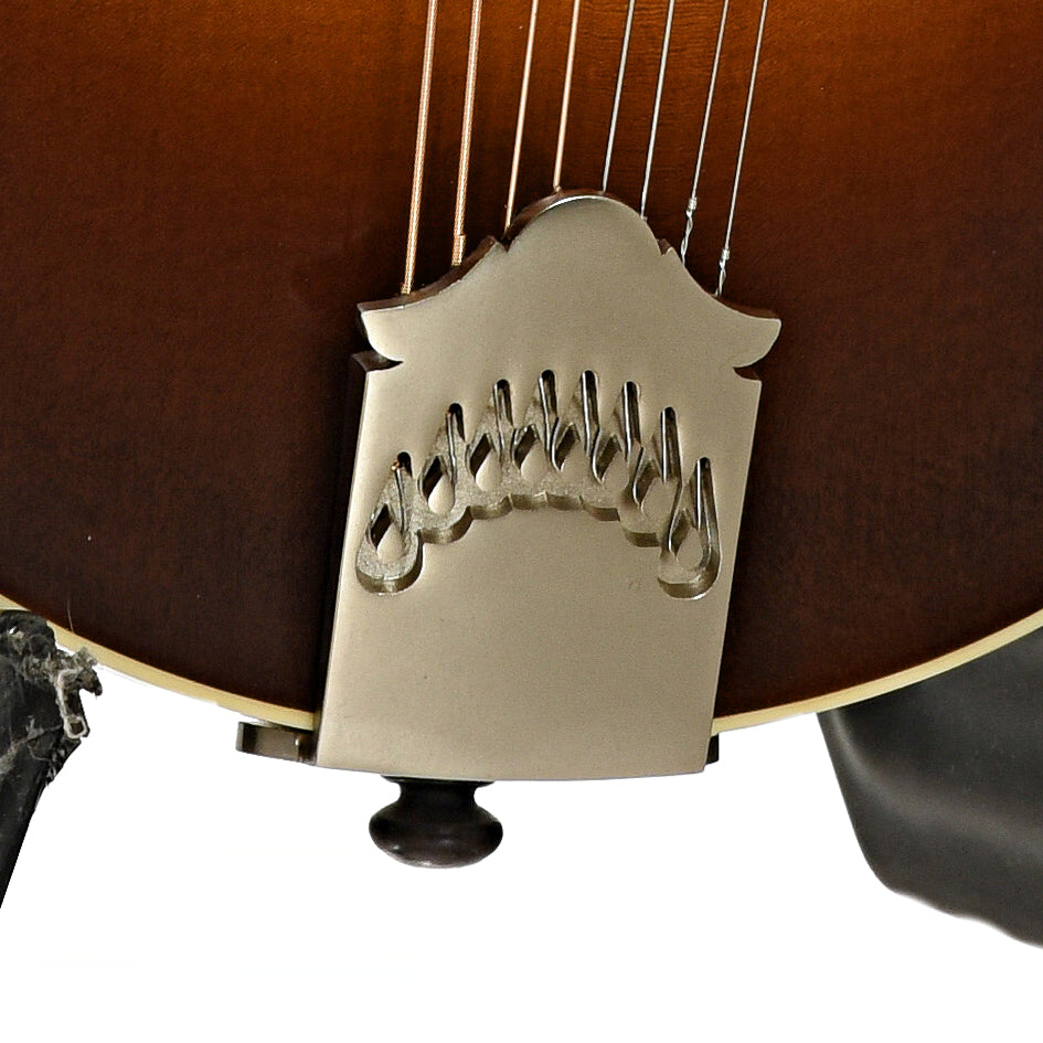 Tailpiece of Northfield Workshop S-Series NFS-F5E Mando