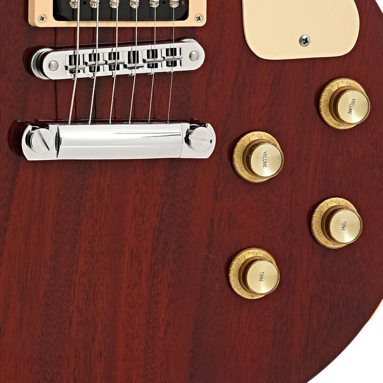 Tailpiece, Bridge and controls of Gibson Les Paul Special