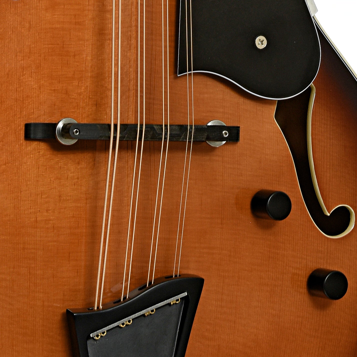 Bridge of Gold Tone Acoustic-Electric Mandocello