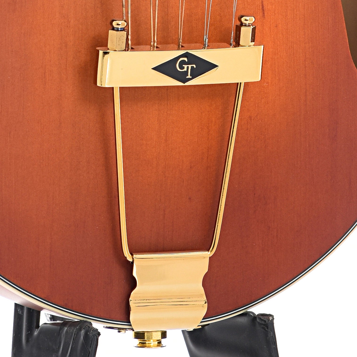 Tailpiece of Gold Tone F-10 10-String Mandolin 