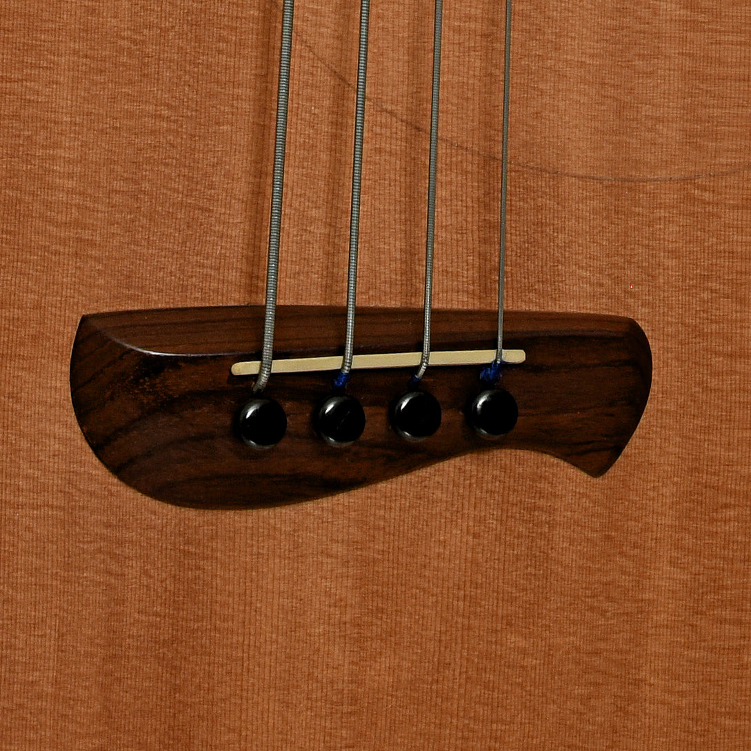 Bridge of Tacoma CB10C Thunderchief Fretless Acoustic-Electric Bass