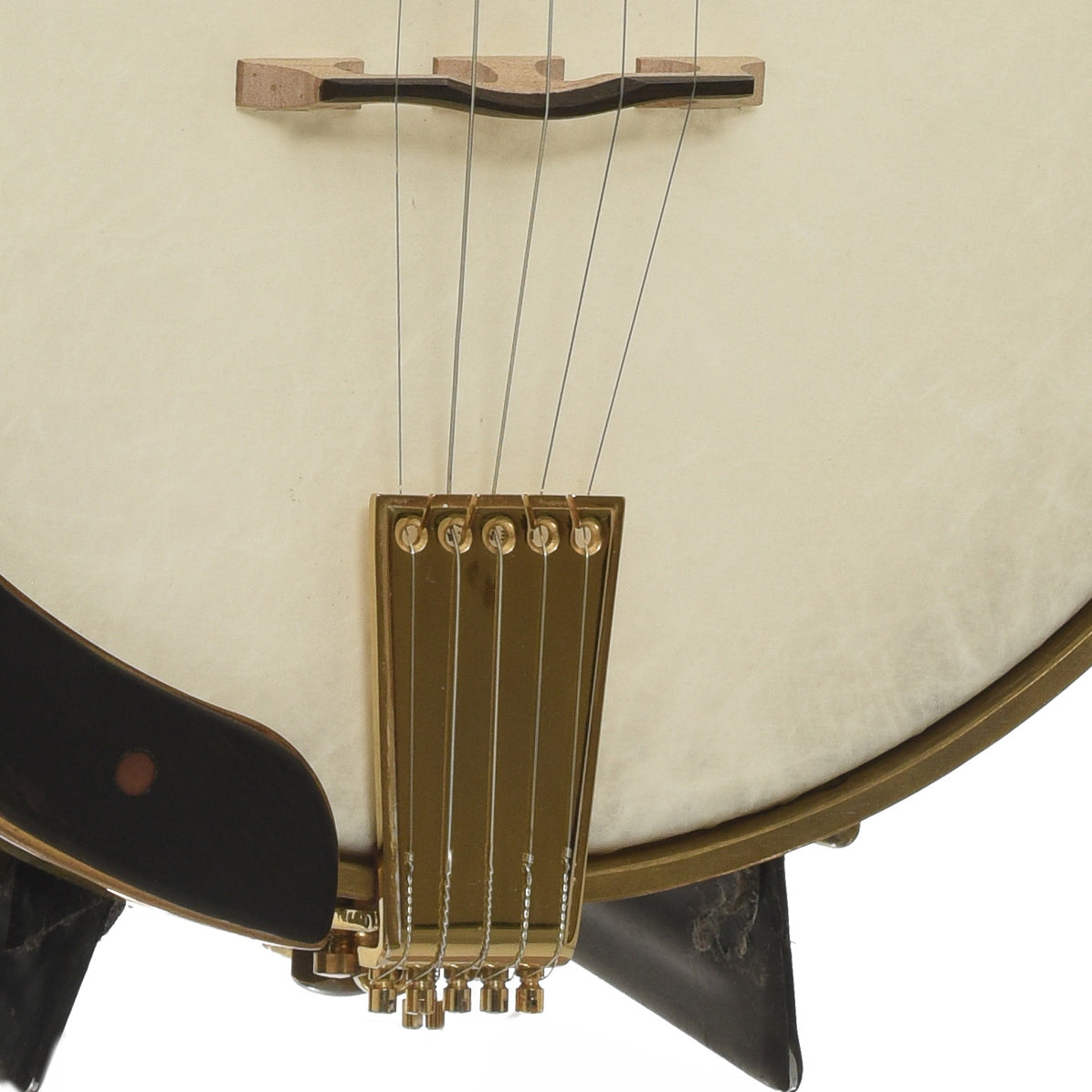 Bridge of Cloverlick Custom Piney Woods Openback Banjo 