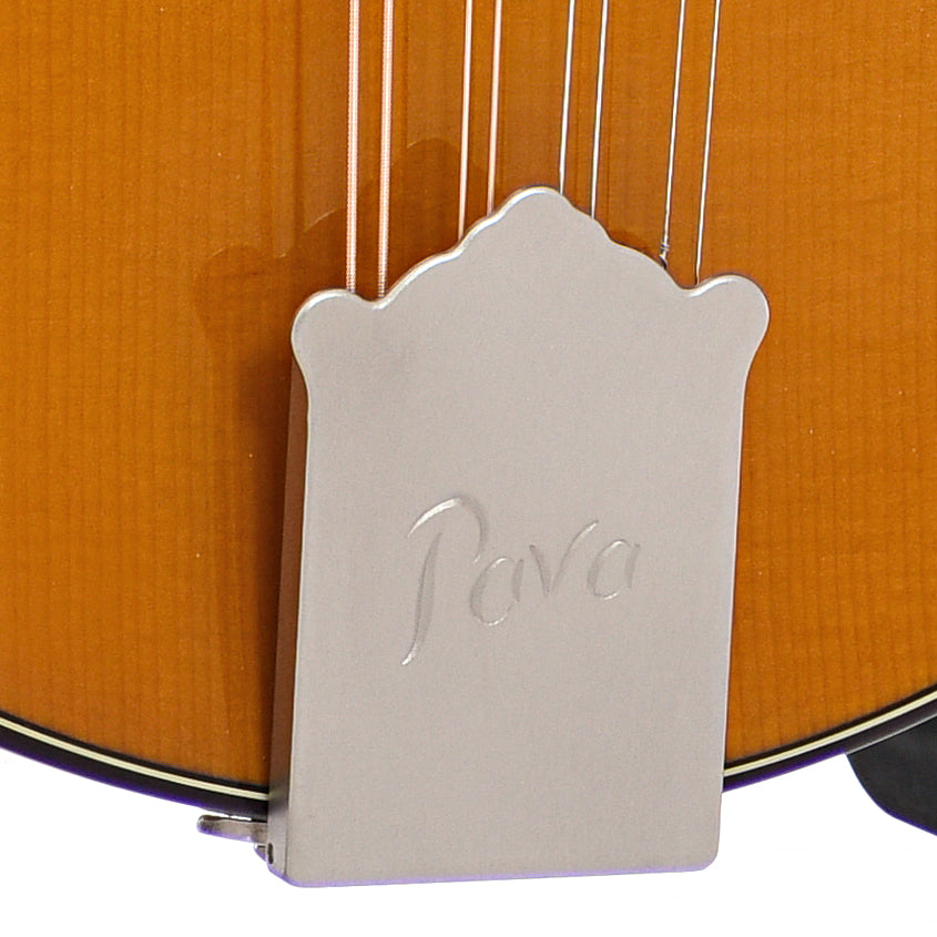 Tailpiece of Pava A5 Pro Model Mandolin, Honey Amber