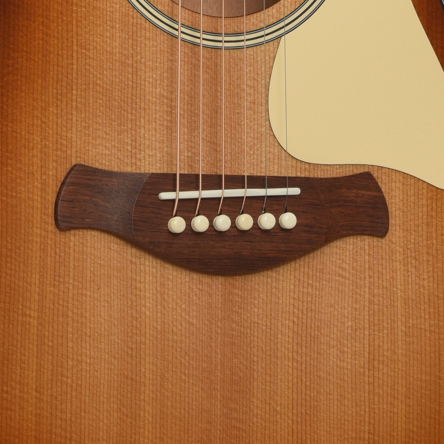 Bridge of Taylor Ben Harper Gold Label 512e Special Edition Acoustic Guitar 