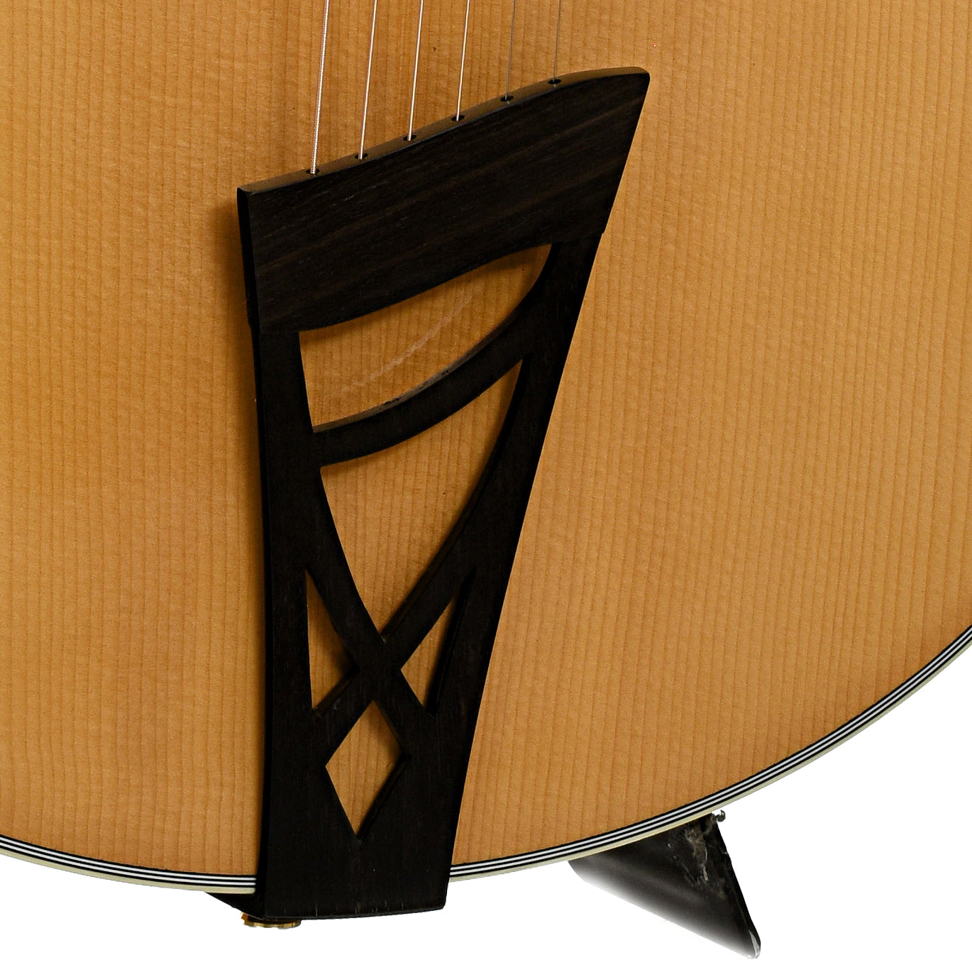 Tailpiece of Andersen Emerald City Hollowbody Archtop Acoustic Guitar