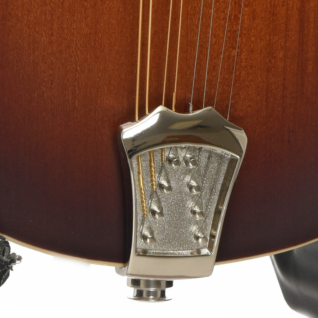 Gold Tone GM-55 A-Style Mandolin & Case