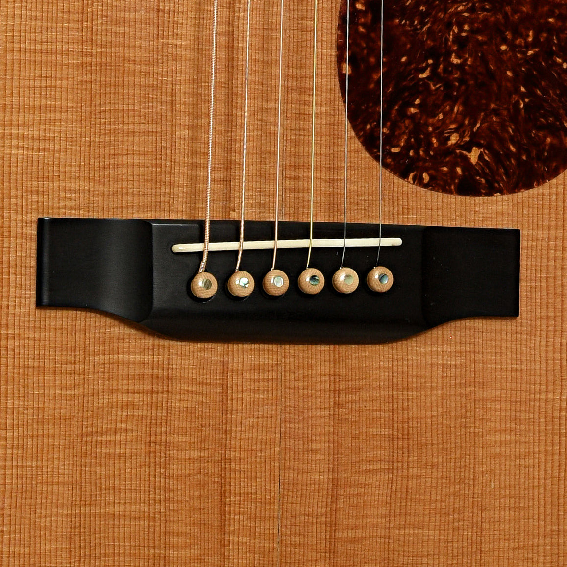 Bridge of Collings OM-3 Acoustic Guitar 