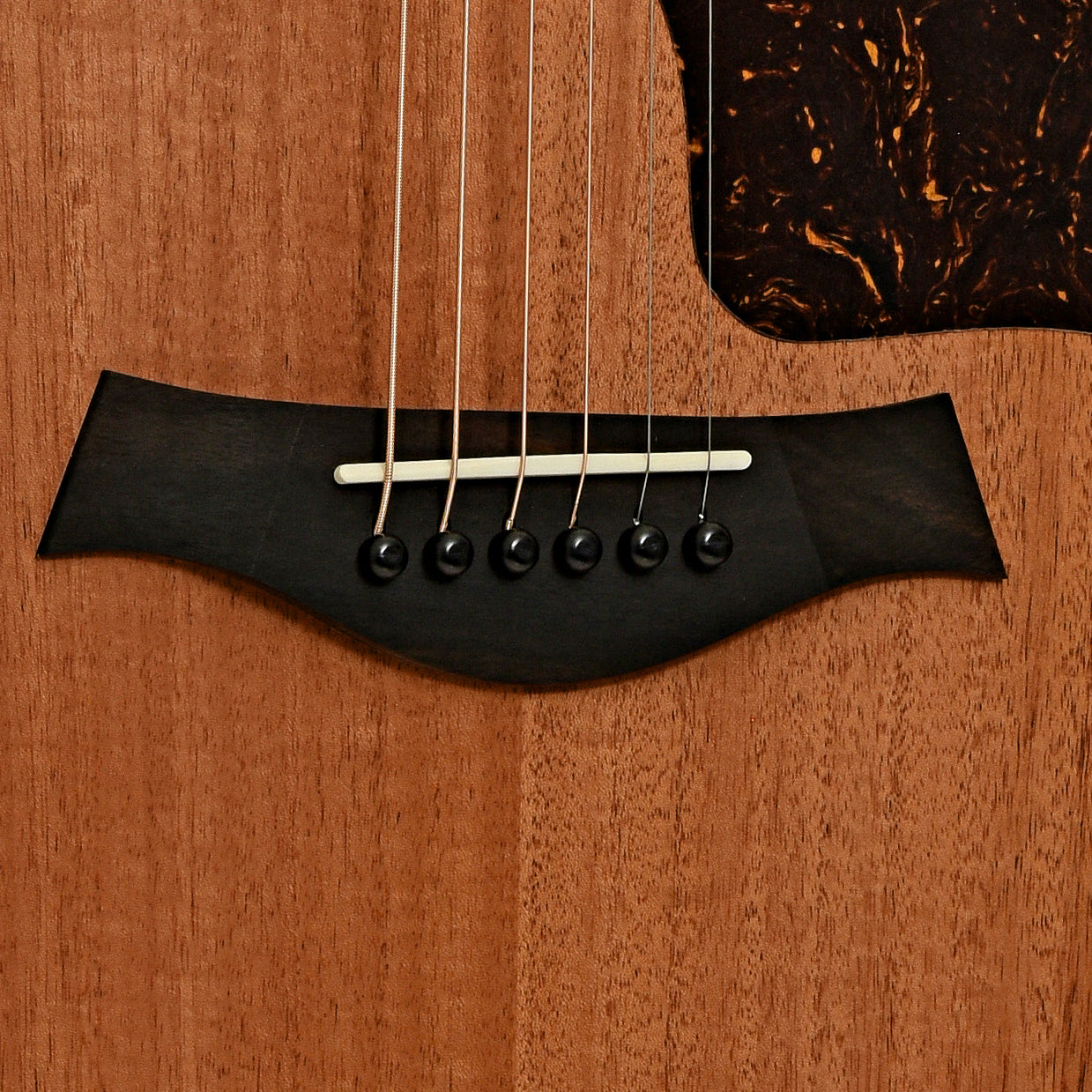 Taylor 24ce Acoustic Guitar & Gigbag