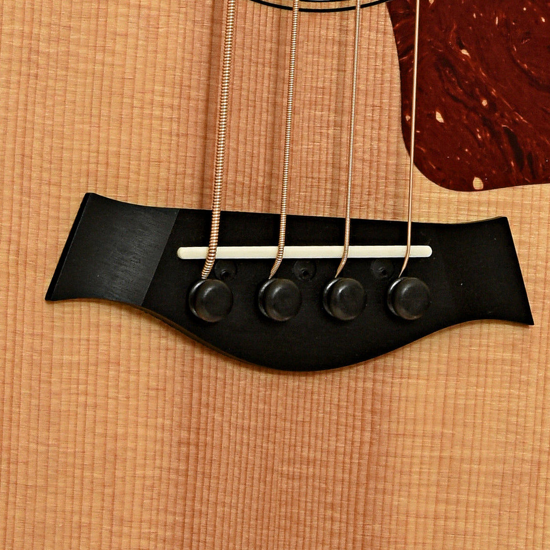 Taylor GS Mini-e Acoustic-Electric Bass (2017)